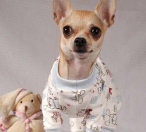 como hacer pijama para perros 3
