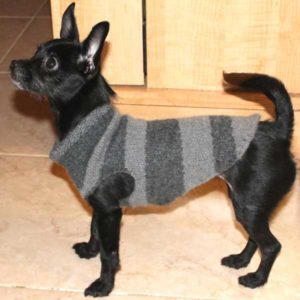 cómo hacer ropa para perros pequeños