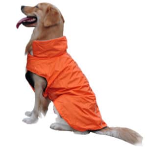 moldes de abrigos para perros 5