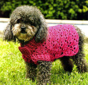 patrones de ropa tejida para perros 4