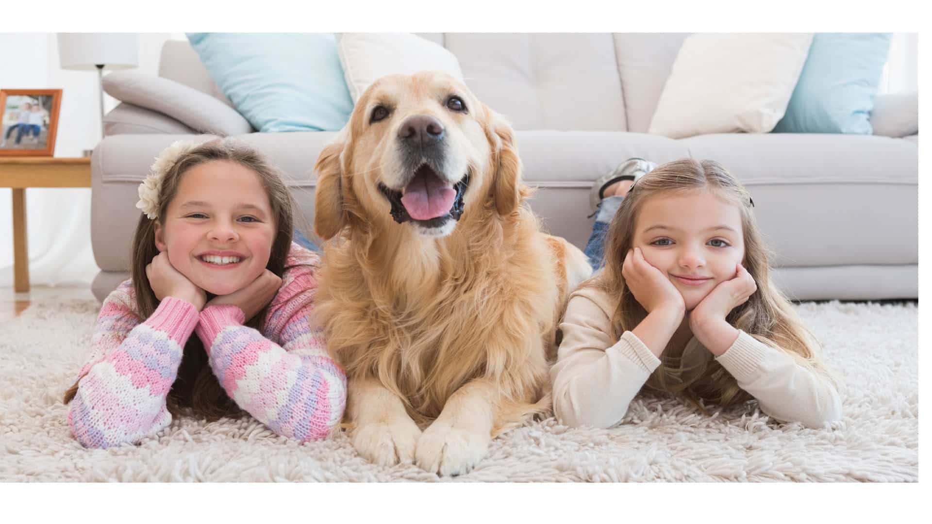 ¿Por Qué Los Perros Golden Retriever Son Los Mejores Perros Para Los Niños?