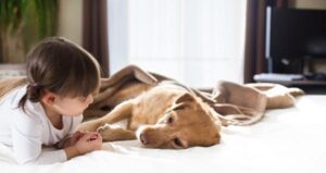 ¿Cómo Puedo Saber Si Mi Perro Tiene Hepatitis?: Diagnóstico y Tratamiento